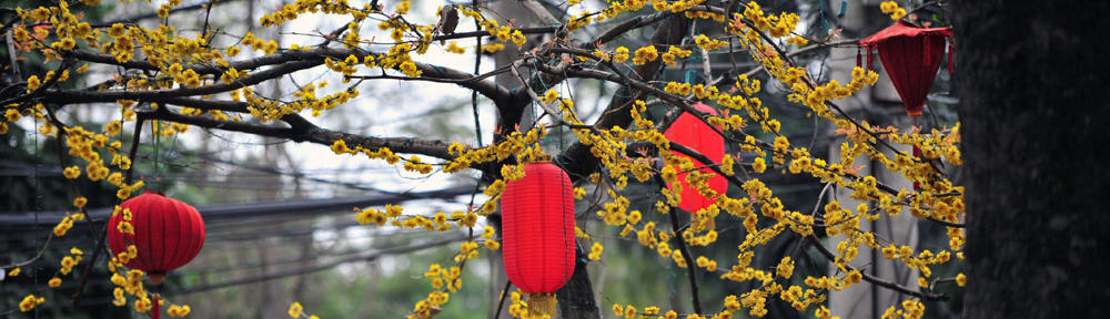 Bee Friendly 101